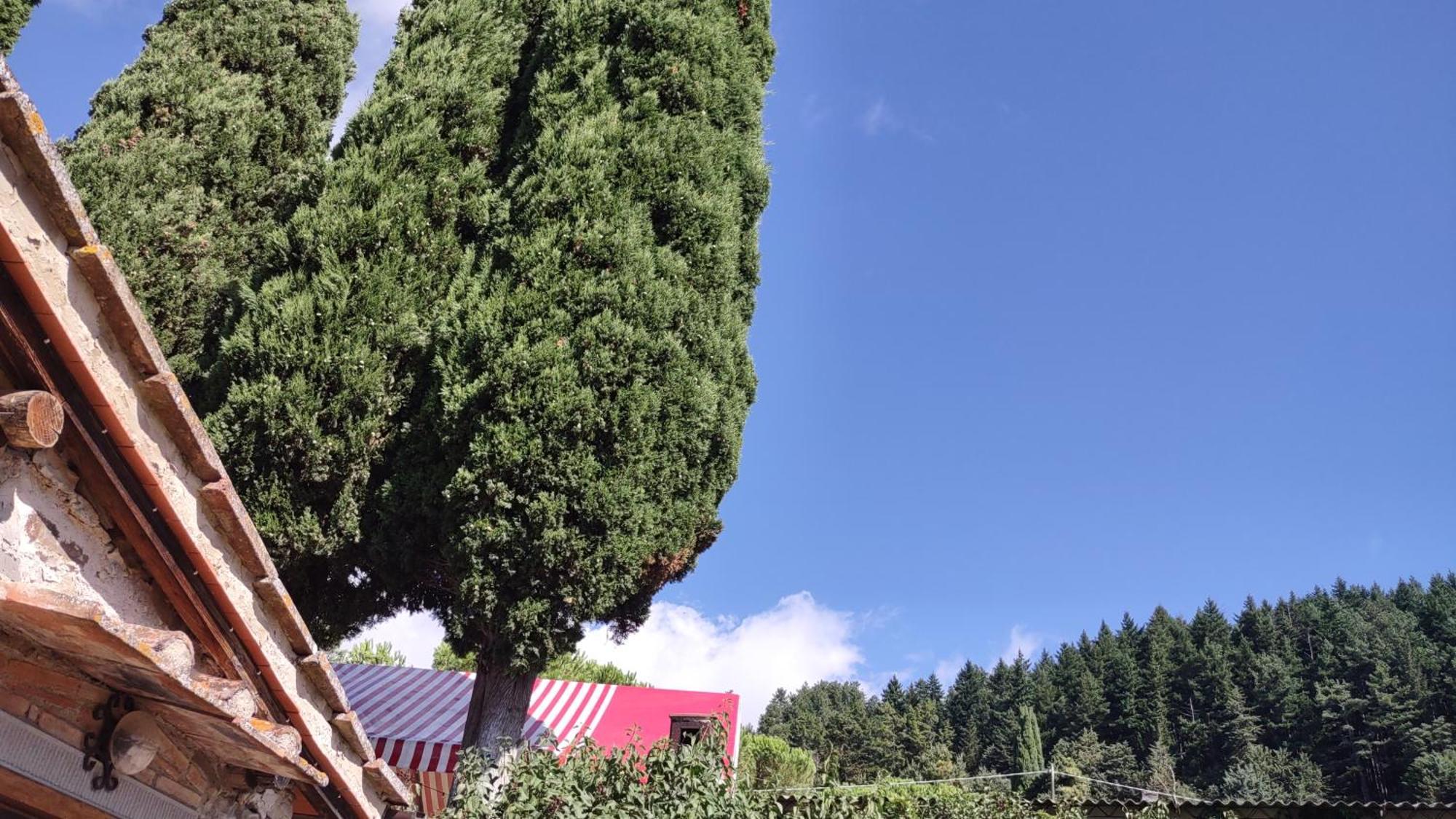 波塔斯维Fattoria Di Cintoia别墅 外观 照片